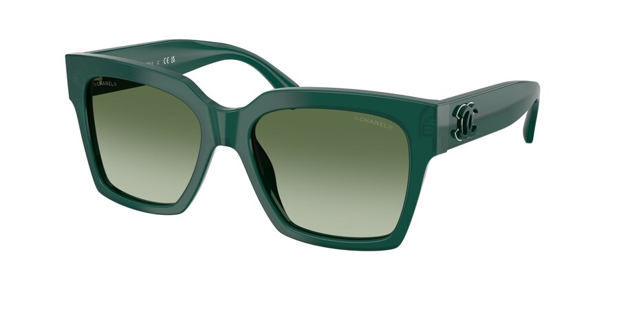 Butterfly Sunglasses CH5557A