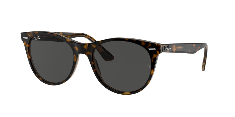 RB2185 Wayfarer II Classic
