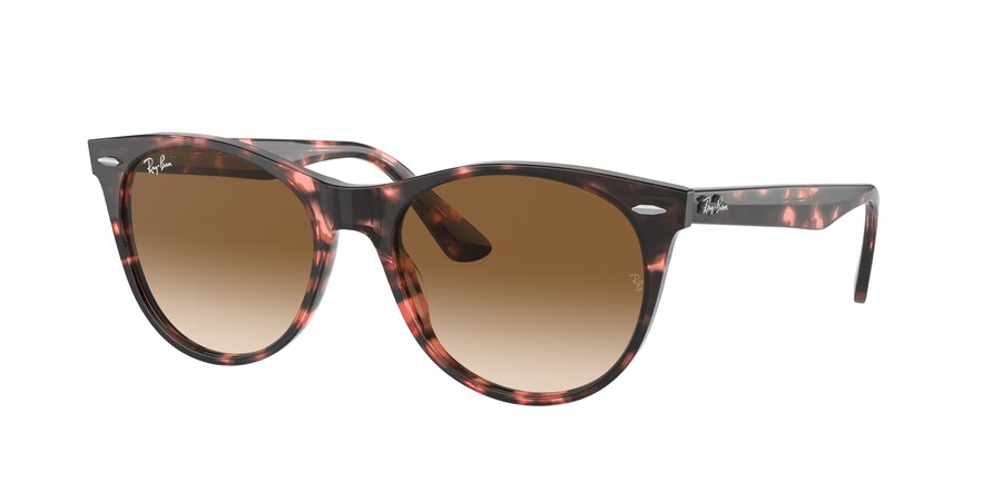 RB2185 Wayfarer II Fleck